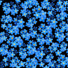 Maybe you would like to learn more about one of these? Forget Me Not Fabric Wallpaper And Home Decor Spoonflower