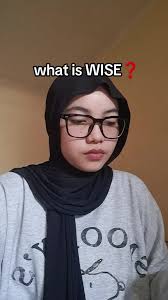 What is WISE Platform for Global Scholarship Opportunities?