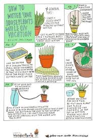 6 Diy Tips For Watering Your Houseplants While Away On Vacation Plants Water Plants Houseplants
