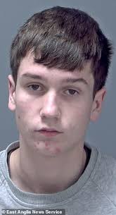 Parents despair after their son, 17, fell in with the wrong crowd