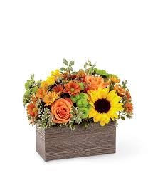 We did not find results for: Butterscotch Blossoms Basket At From You Flowers
