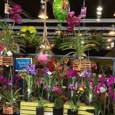 Maybe you would like to learn more about one of these? Field Of Flowers Flower Shop In Boca Raton