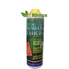 Maybe you would like to learn more about one of these? Phan Bon Há»¯u CÆ¡ Growmore Seaweed Extract Rong Biá»ƒn Nháº­p Kháº©u Má»¹ Shopee Viá»‡t Nam
