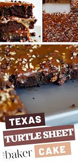 Texas Turtle Sheet Cake Chocolate Sheet Cake Sheet Cake Dessert Recipes Easy