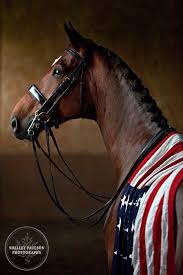 Pin By Jsb Arts On All The Pretty Horses Horses Animals Animals Beautiful