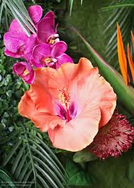 We did not find results for: Pin On Fleurs