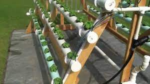 I built three homemade hydroponics systems over two years, each time making improvements. Homemade Vertical A Frame Hydroponic System Facebook Https Www Facebook Com Greenerways Youtube