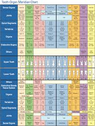 Eric Davis Dental Interactive Meridian Tooth Body Chart