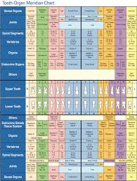 Eric Davis Dental Interactive Meridian Tooth Body Chart