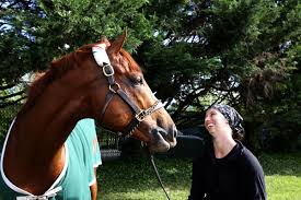 Preakness stakes odds are up for the second leg of the 2021 triple crown season. Jo4yj7jtx03a M