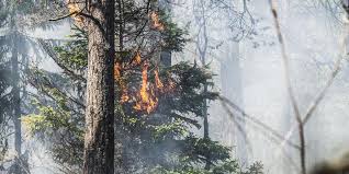 Tänk på brandrisken när ni är ute i naturen och respektera eventuella eldningsförbud! Eldningsregler Stramas Upp Efter Kaoset 2018 Gp