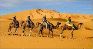 How often do you_ the lawn? Morocco Desert Tour From Marrakech Sunny Excursion