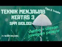 Soalan terbahagi kepada tiga iaitu: Teknik Jawab Kertas 3 Biologi Spm Tips Tricks Skema Ulasan Jawapan Pelajar Cikgufaherah Youtube