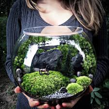 Large Bowl Terrarium With Invisible Lid And Horses In The Pasture Scene Terrarium Bowls Miniature Garden Terrarium