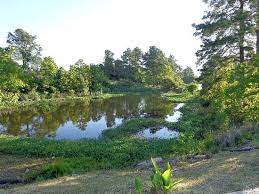 Maybe you would like to learn more about one of these? Pavillion Rv Park Campground Reviews West Monroe La Tripadvisor