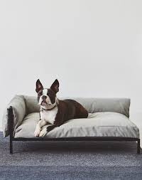 Canapé 2 places adapté aux salons classiques. Canape De Luxe Pour Chien Miacara Brandina Canape Pour Chien Chien Animal Domestique