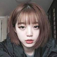 Coloring hair is a great way to add depth and dimension to any hairstyle or haircut. Bangs On Bob Haircuts You Should See Bob Haircut And Hairstyle Ideas Shot Hair Styles Short Hair With Bangs Korean Short Hair