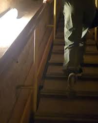 🇪🇬Giza & Il Cairo🇪🇬, ~ 24/11/2024