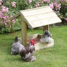 Epingle Sur Poules Et Poulaillers
