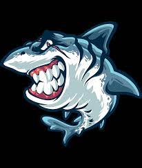 Angry Shark With Scar His Face Shark Street Art Graffiti Face