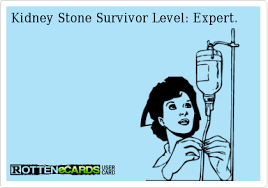 See more ideas about kidney stones funny, humor, medical humor. 32 Kidney Stones Ideas Kidney Stones Kidney Humor