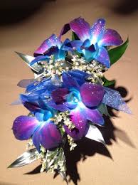We did not find results for: Lewis Florist Flower Shop In Grayslake Il Grayslake Florist Online
