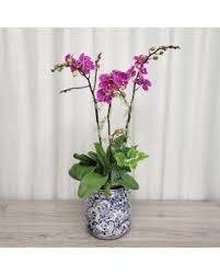 搜索結果:'AI成人色色DIY,【链接地址：yyge.app】GGJAV,Jable.TV ...