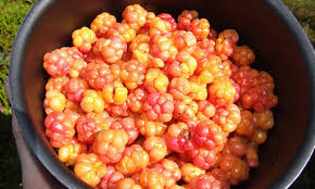 Apparently there are fruits that have an odd shape. 20 More Fruits You Probably Don T Know Listverse