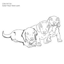 Dachshund Puppy Coloring Page Puppy Coloring Pages Dog Coloring Page Coloring Pages