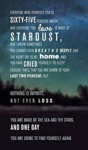 19 We Are Made Of Stardust Ideas Stardust Pantheism Universe