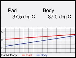 righttemp mouse body temperature monitor kent scientific