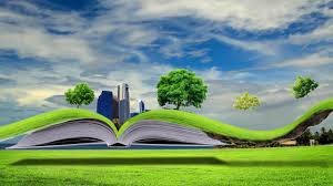 Royalty Free Motion Background Loops Hd Wedding Background Animation 351 Nature Images Hd Nature Wallpaper Green Nature Wallpaper