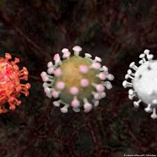 Entenda a diferença entre endemia, epidemia e pandemia