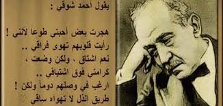 كلام جميل عن الدنيا موضوع