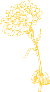 Free download carnation svg icons for logos, websites and mobile apps, useable in sketch or adobe illustrator. Yellow Carnation Svg Clip Arts Download Download Clip Art Png Icon Arts