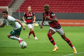 Head to head statistics and prediction, goals, past matches, actual you are on page where you can compare teams flamengo vs palmeiras before start the match. 3h3mnymmv6qfjm