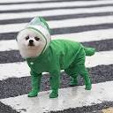 Amazon.com : HongGun Dog Raincoat, Waterproof Puppy Raincoats with ...