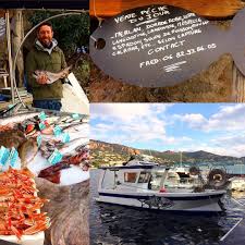 Vente De La Peche Du Jour Tous Les Matins Au Port D Agay Avec Le Sympathique Frederic Poisson Peche Merlan Dorade Lotte Langoustine Fischereihafen Dorade