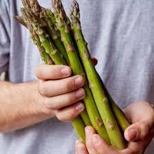 Image result for Asparagus schroederi