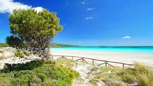 Pour trouver la carte de la distance de conduite entre tabarka à sardaigne, entrez la source et la destination, puis sélectionnez le mode de conduite. Camping En Sardaigne Conseils Et Adresses Utiles