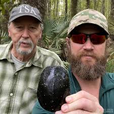 Is the "Fauna Classifieds Turtles" site down??