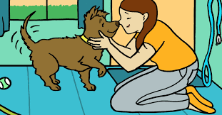 Why Do Dogs Wag Their Tails 4 Reasons You Need To Know Littlethings Com