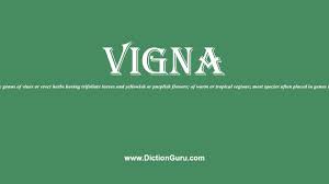 vigna: Pronounce vigna with Meaning, Phonetic, Synonyms and Sentence  Examples - YouTube
