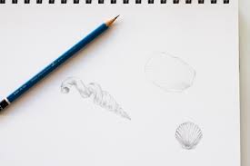 How To Paint Seashells In Watercolor 3 Painting Tutorials Choose your favorite sea shell drawings from millions of available designs. how to paint seashells in watercolor 3