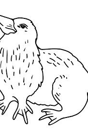 You can use our amazing online tool to color and edit the following platypus coloring pages. Mammals Coloring Pages