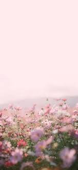 25 Aesthetic Phone Wallpaper Background Ideas In 2020 Pink Flowers Wallpaper Computer Screen Wallpaper Flower Background Wallpaper