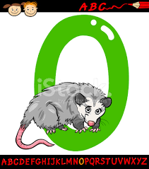 Letter O For Opossum Cartoon Illustration Stock Vector Freeimages Com No download, no surveys and only instant premium streaming of cartoons. letter o for opossum cartoon