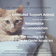 Law Office Of Jessica M Semins Jmseminslaw Instagram Photos And Videos Animal Law Law Office Emotional Support Animal