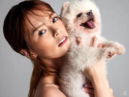 Celebrities and their pets: The stories behind 4 famous paw parents and  their fur babies