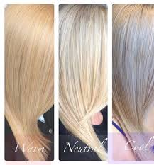 Found On Bing From Www Quora Com Cool Blonde Hair Warm Blonde Hair Cool Blonde Hair Colour